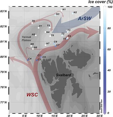 Carbon Export in the Seasonal Sea Ice Zone North of Svalbard From Winter to Late Summer